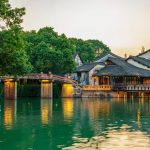 Why Spring is the Perfect Season to Visit Japan