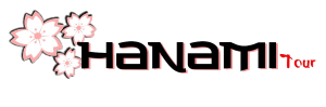Hanami Tour Logo
