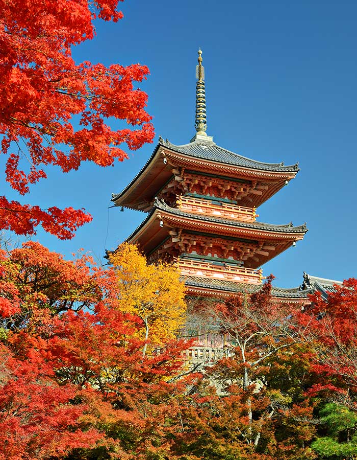 kiyomizu-dera-pagoda-PJP5YKU