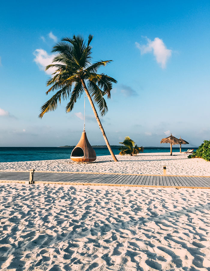 maldives-island-luxury-resort-palm-tree-with-hangi-PMR8TXB