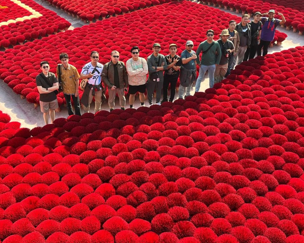 Mice Doccumentation (2)